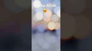 Allahu Allah♥️ #viralvideo #saudiarabia #shorts #trending #madina #makkah #naat