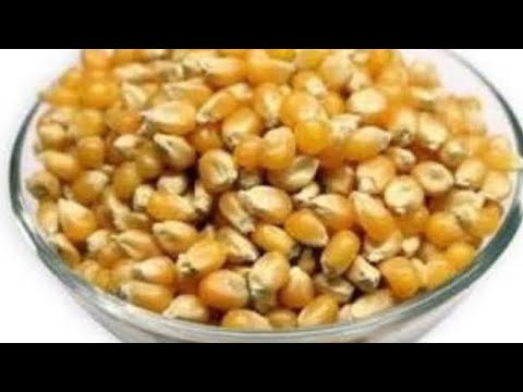 إلا عندك نصف كاس ذرة دخلي برعي وليداتك ب 3 وصفات خطيرة غتعشقوها