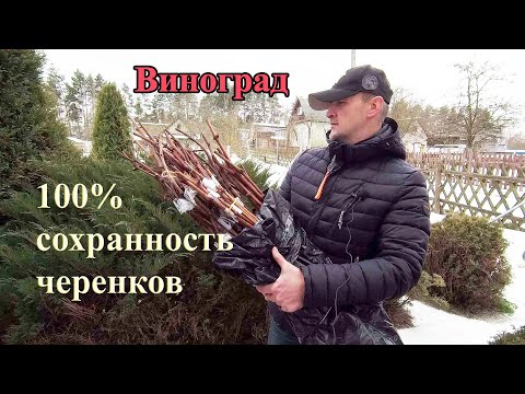 Видео: Пентхаус Роттердам с прекрасным потоком и потрясающими видами