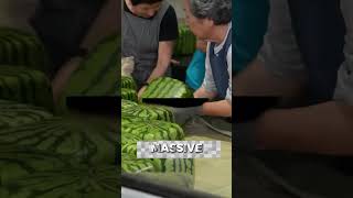 Why Brazilian Watermelons Are Destroyed shortsviral