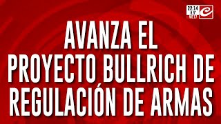 Avanza el proyecto Bullrich de regulación de armas