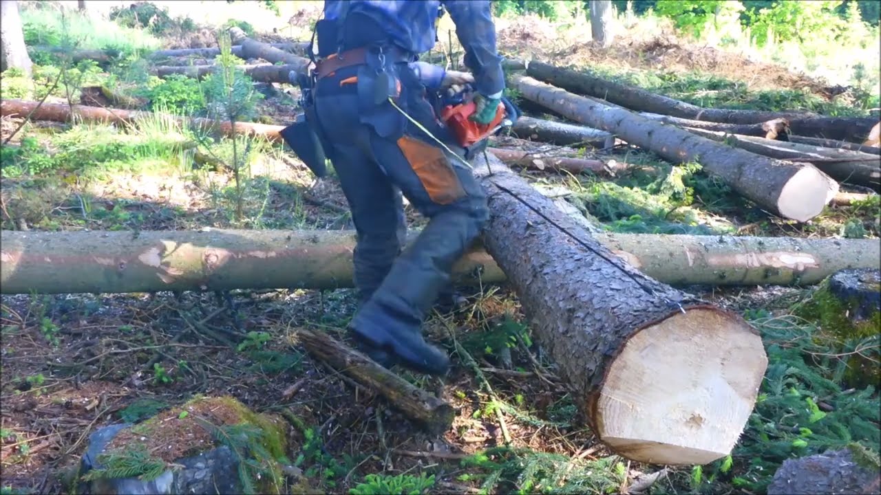 Forest job / Echo 4310 SX - Kůrovcové kolo #414