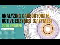 Conserved Unique Peptide Patterns (CUPP) for analyzing Carbohydrate-Active Enzymes (CAZymes)