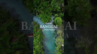 The Magical of Banggai Island‼️ #travel #explore #adventure #shorts