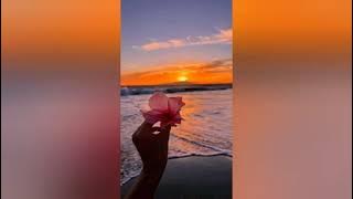 maulana wijaya- kecewa hatiku