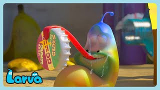 Larva - Solletico Cartoni Animati Per Bambini Wildbrain Italiano