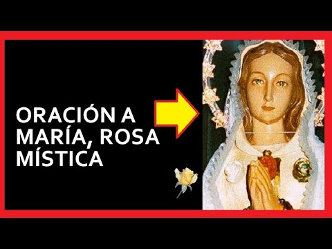 ORACIÓN A MARÍA, ROSA MÍSTICA 🌷🌷🌷🙏🙏🙏 - YouTube