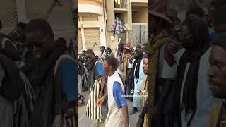😭😭 2e jour déguerpissement marché Ocass touba #audiovisuel #chaînedigitale #livestream #shortvideo
