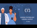 CVS Cardiac Output