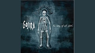Video thumbnail of "Gojira - The silver cord"