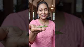 The life cycle of a monarch caterpillar 🦋🦋🦋#shorts #trending #viral #naturecaterpillars