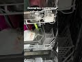 Troubleshooters Appliance Repair Renton Bellevue Seattle www.troubleshooters.services  425.905.9859