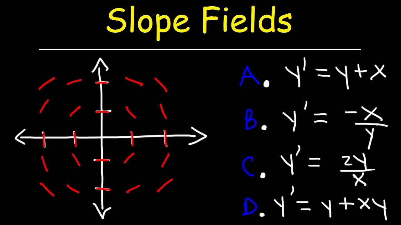 ⁣Slope Fields | Calculus