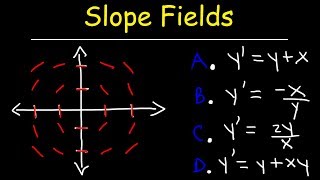 Slope Fields | Calculus