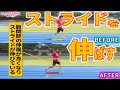 【陸上競技】ストライドを伸ばす効果的な練習方法とは?