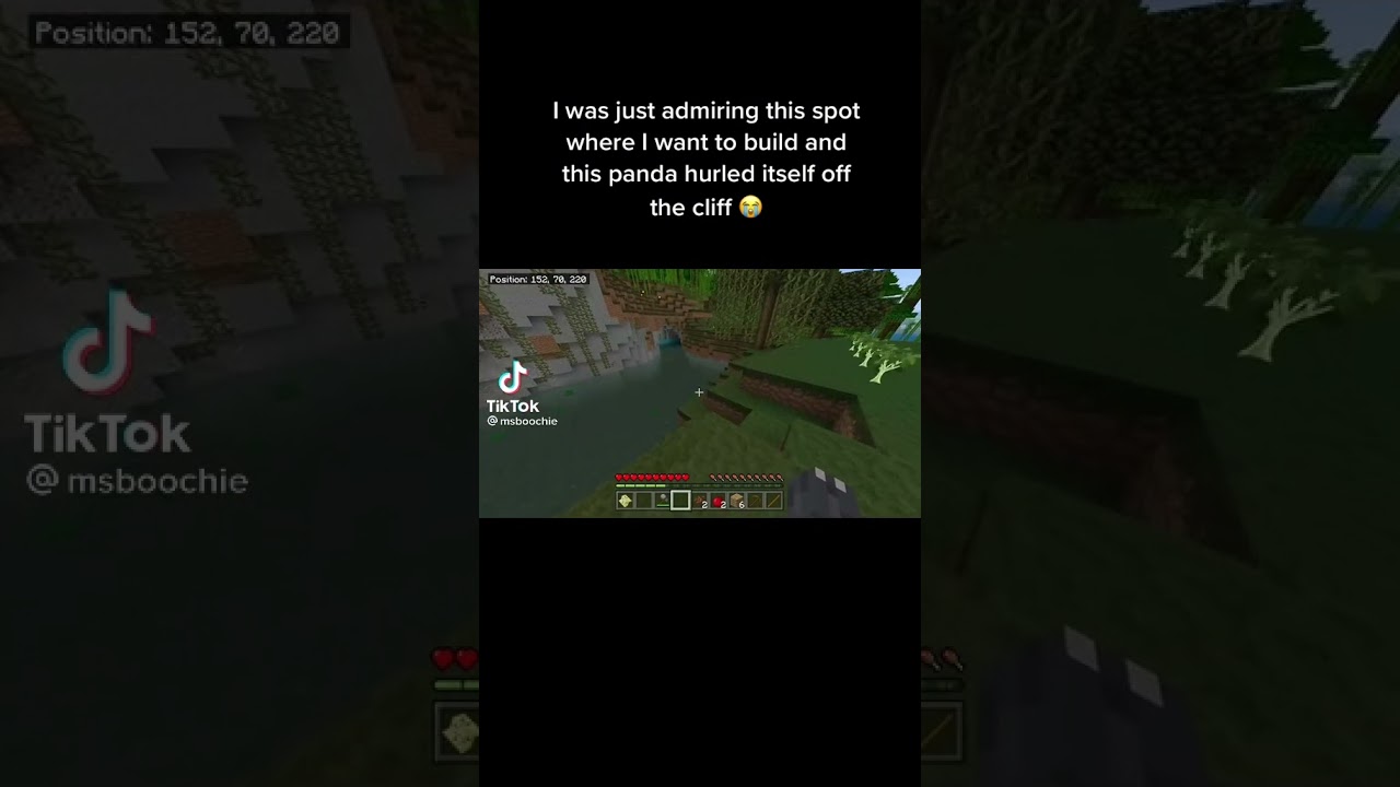 Minecraft Panda: Do a Flip 😮‍💨