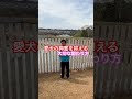 愛犬の興奮を抑える大切な関わり方を伝えます！ #ドッグトレーニング #犬のしつけ #犬の幼稚園