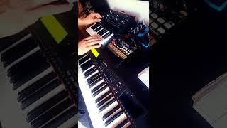 funk synth bass korg monolgue demo
