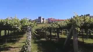VITISLAND: Pazo Baion, Rías Baixas (Galicia)