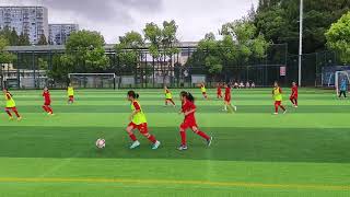 video 20260816 090217