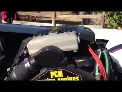IMG 5392