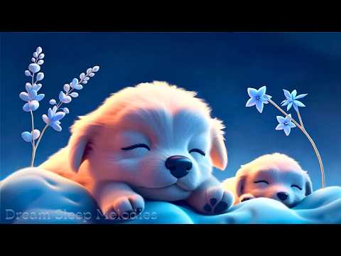 (No Ads) Sleep Instantly Tonight • Healing Music for Overthinking, Stress & Deep Rest