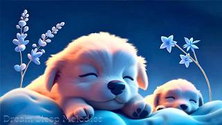 (No Ads) Sleep Instantly Tonight • Healing Music for Overthinking, Stress & Deep Rest