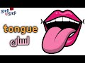 نطق كلمة Tongue لسان إزاي تنطقها صح 