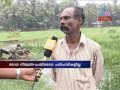 Infectious diseases spread Kollam Perunkulam