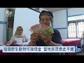 印尼保育團體以金錢為誘因 鼓勵民眾拍攝野生動物換獎勵｜20260917 8點新世界