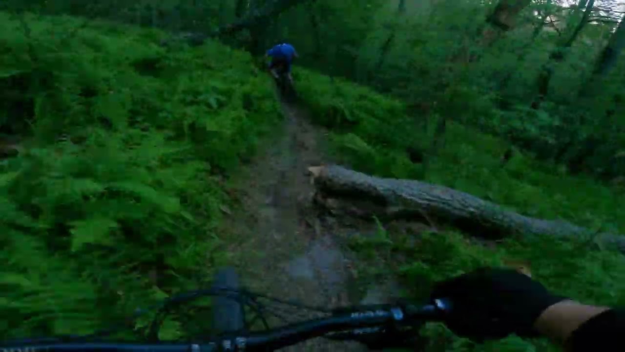 Beer Tap to Tussey Mtn Ext Trail