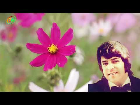 احمد ظاهر من نگویم که مرا از قفس آزاد کنید  