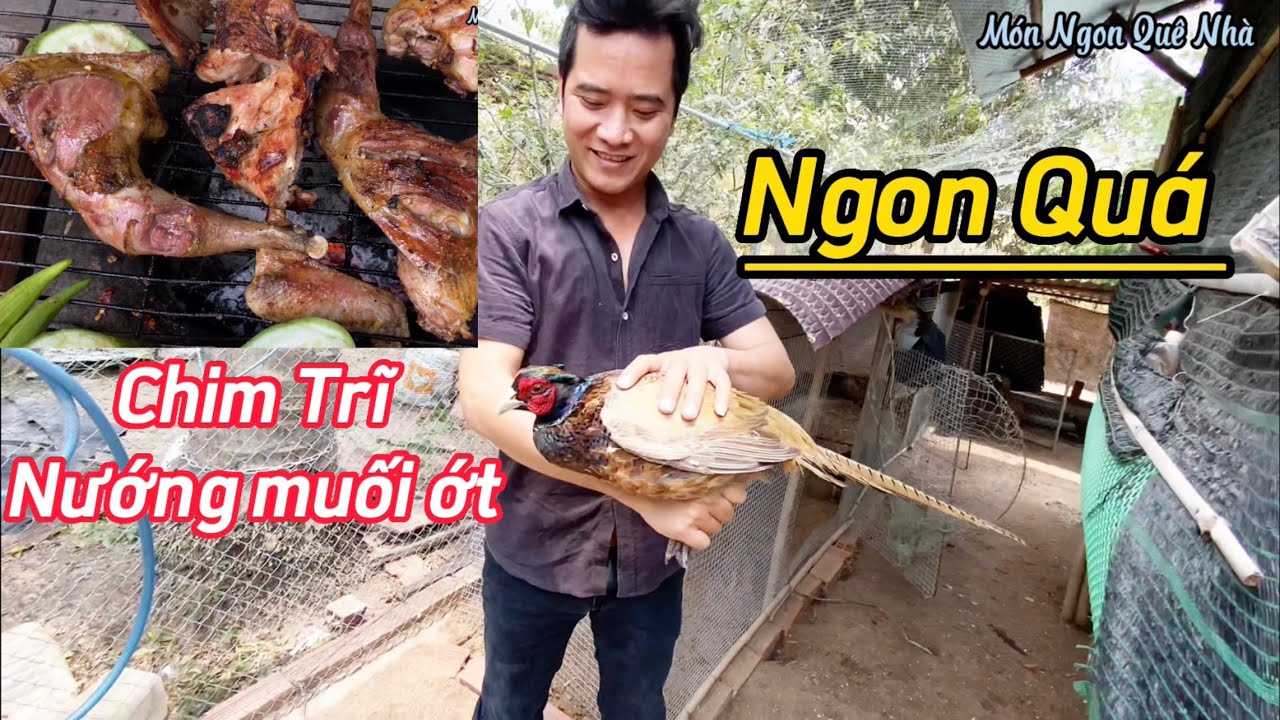 Chim trĩ nướng muối ớt, ngon tuyệt vời ông mặt trời. LH mua chim giống 078.678.1368