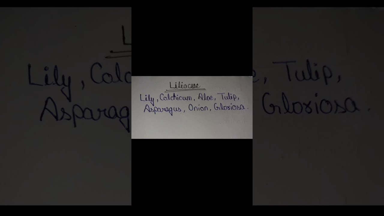 liliaceae family example || neet bio || neet 2024
