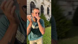 Download Lagu Harmonika in Wien🇦🇹🇧🇷#harmonica #harp #gaita #music #musician #tourist #brazilian #wien #vienna MP3 Download Lagu Harmonika in Wien🇦🇹🇧🇷#harmonica #harp #gaita #music #musician #tourist #brazilian #wien #vienna MP3
