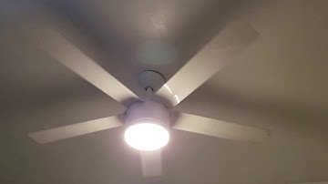 Alexa Lights/Fan - Voice Command Demonstration