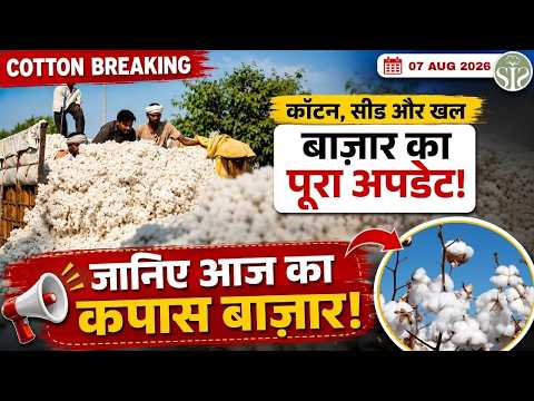 जानिए आज का कपास बाज़ार 😱 Cotton rate today #youtube