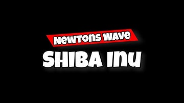 How Newtons Wave Works