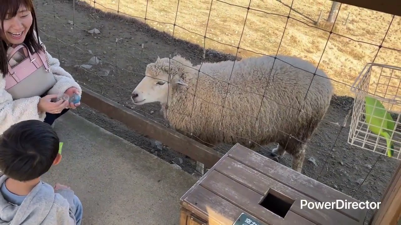 Happy Holiday SUGENO☆第130旅☆【那須どうぶつ王国】栃木県 那須郡 那須町