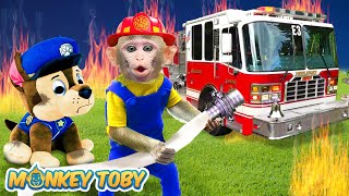 Monkey Toby rescue Paw Patrol with fire truck | MONKEY TOBY ANIMAL