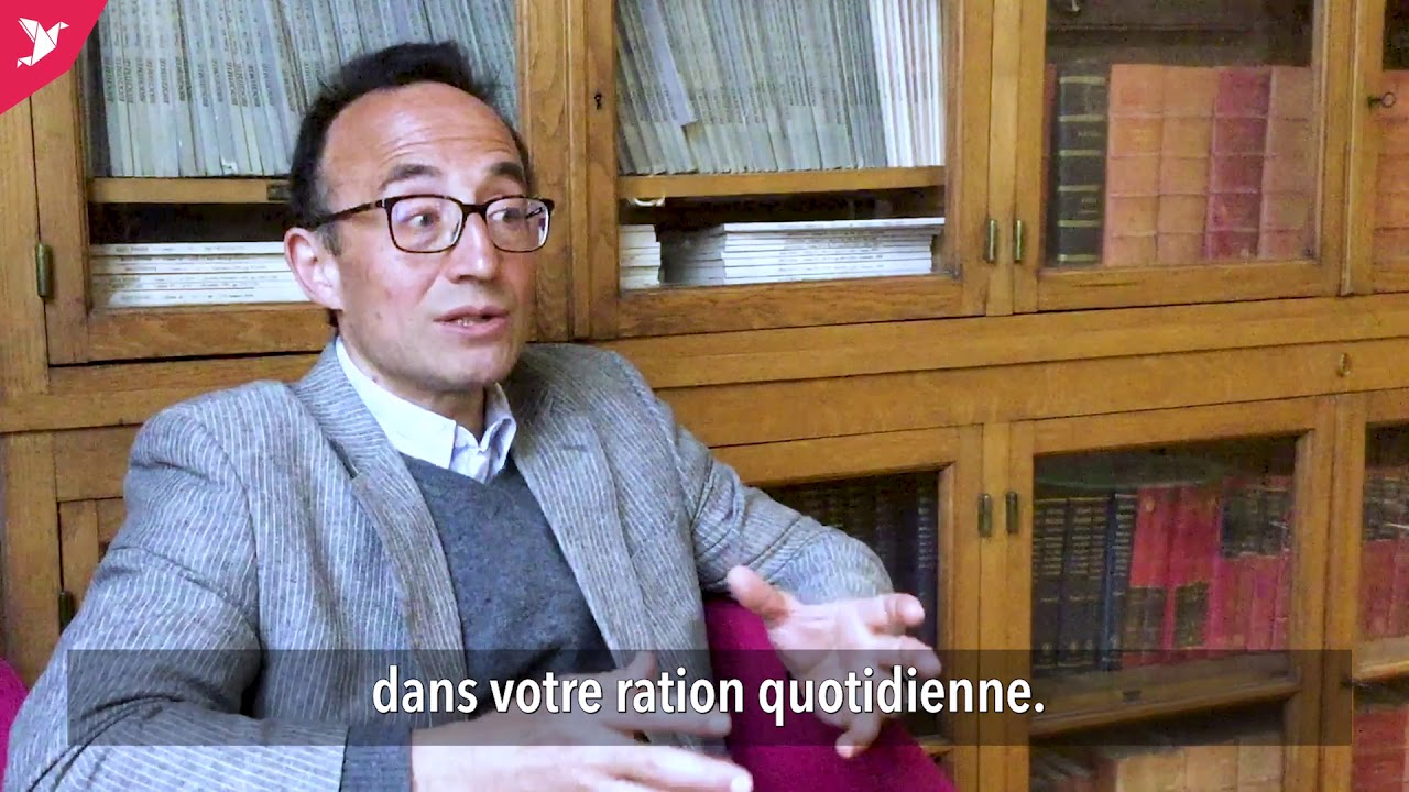 video editing software free Q&A avec le Docteur Véroli : La viande