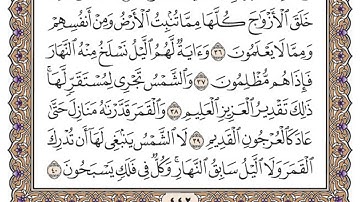 سورة يس مكتوبة / محمد أيوب