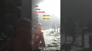 RDR2 online - A Guide To Using Stealth