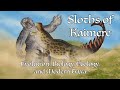 Sloths of kaimere evolution biology ecology and modern taxa