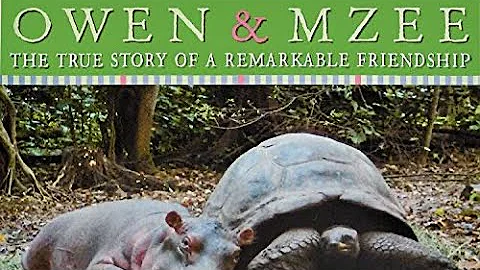 OWEN & MZEE THE TRUE STORY OF A REMARKABLE FRIENDS...