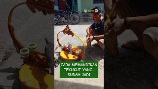 cara memandikan tekukur yang sudah jadi, #tekukur #tekukurindonesia #tekukurmania