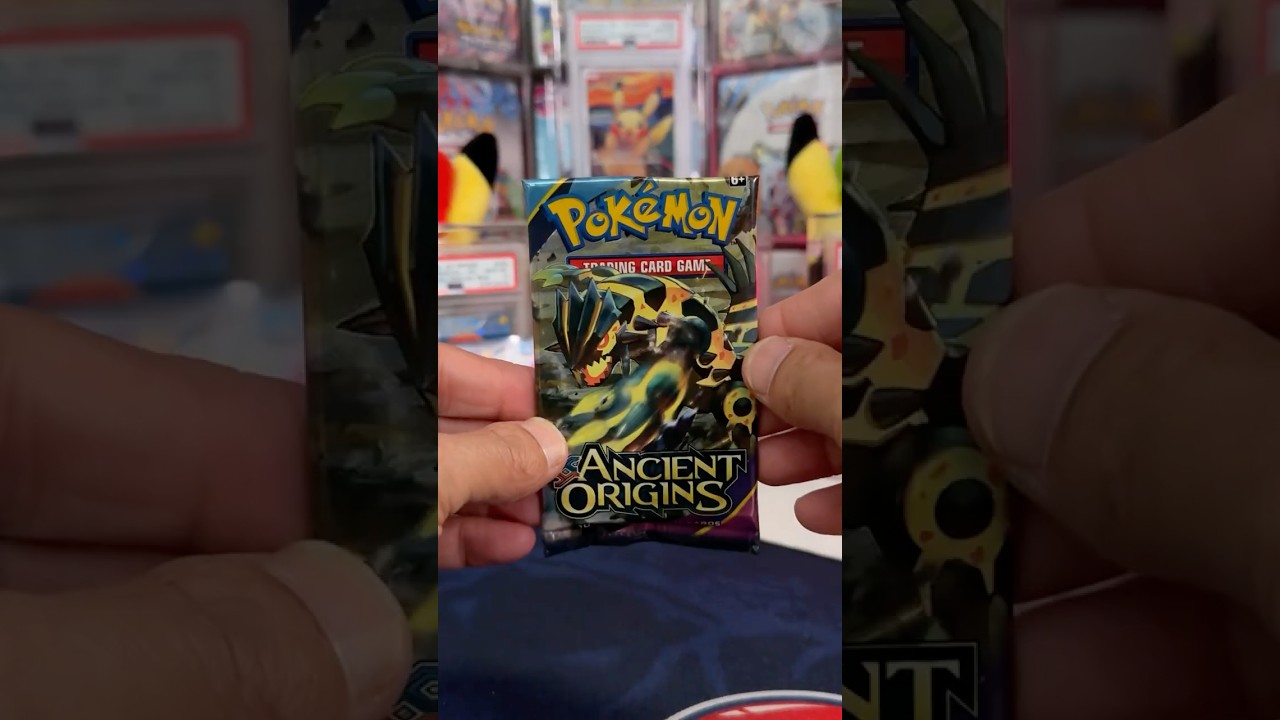 Should I Open it? Or Should I Keep it Sealed? - Episode 578 - Broken Down XY Collection Box