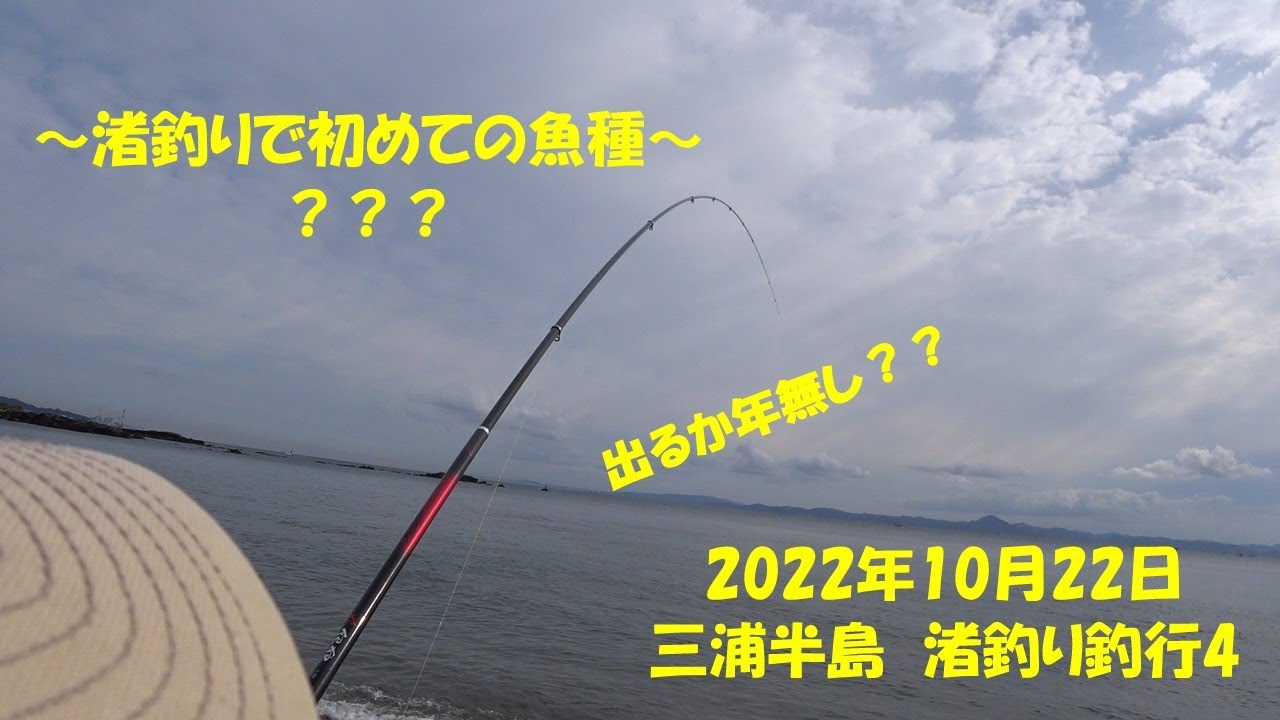 22 10 22 三浦半島 渚釣り4 Youtube