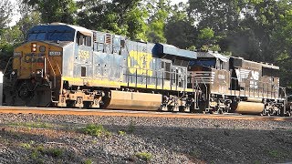 RARE! CSX X116 Baretable Train With Norfolk Southern In St Denis