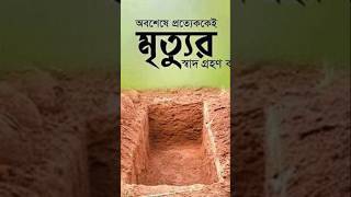 প্রত্যেকেই মৃত্যুর স্বাদ গ্রহণ করতে হবে। #ইসলামিক শট #ইসলামিক ভিডিও #pypteachers #flipclass #pypstud